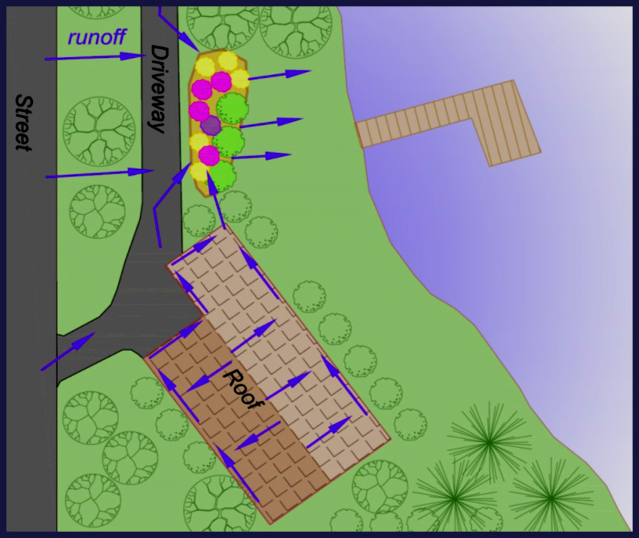 Bioretention drawing