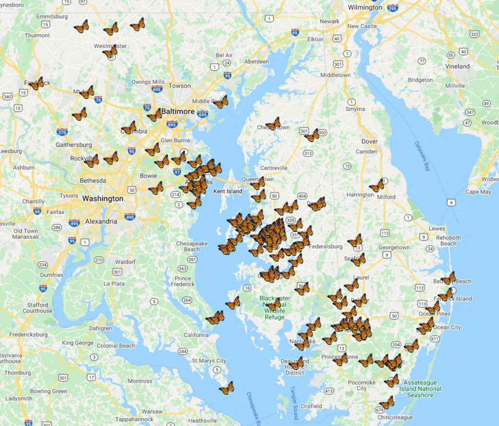 Seed Stewards Map