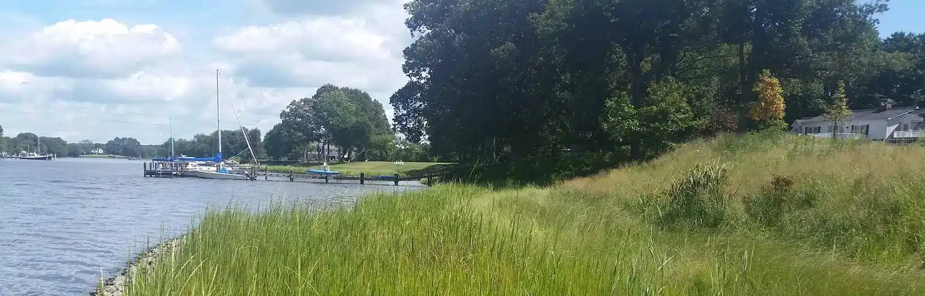 Island Creek wetland restoration project