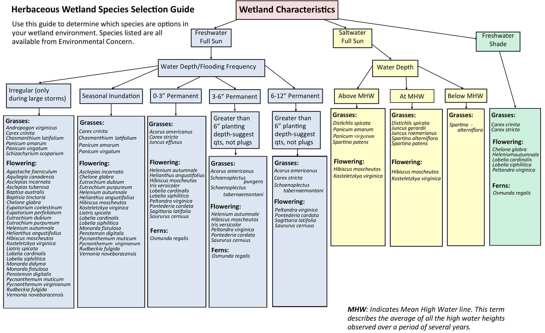 Herbaceous Wetland-Species Selection Guide-2023