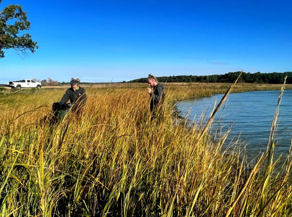 Wetland restoration team at work